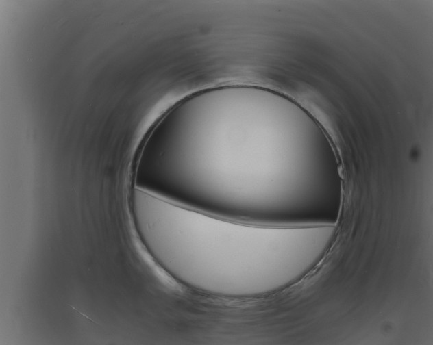 X0000093731005200710160809
