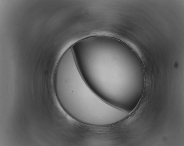 X0000093731007200710160809