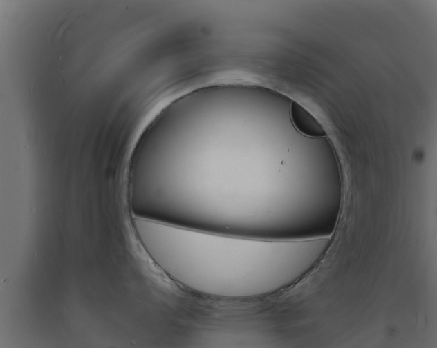 X0000093731008200710160809