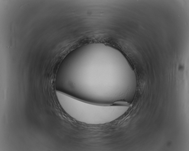 X0000093731010200710160808