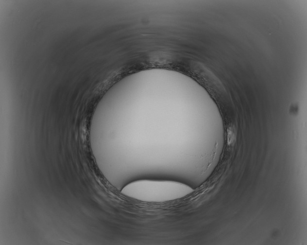 X0000093731011200710160808
