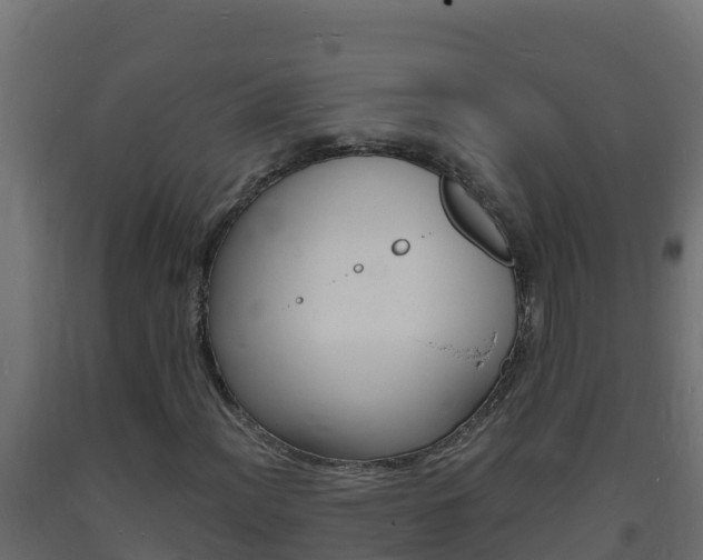 X0000093731012200710160808