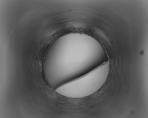 X0000093731013200710160808