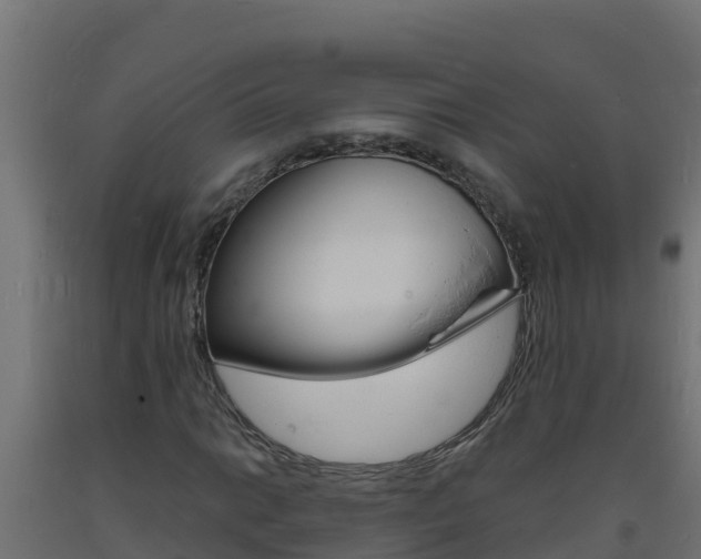 X0000093731014200710160809