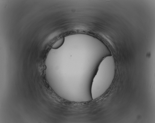 X0000093731015200710160809