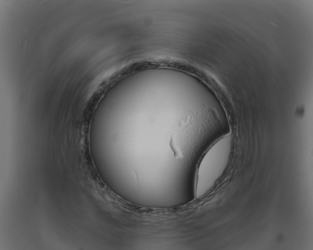 X0000093731016200710160809