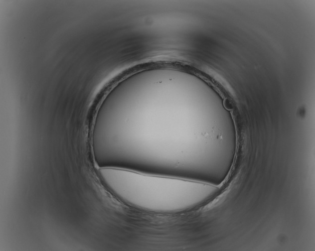 X0000093731021200710160809