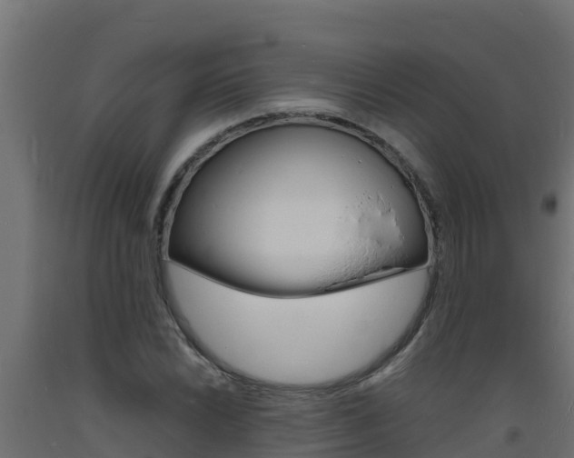 X0000093731022200710160809