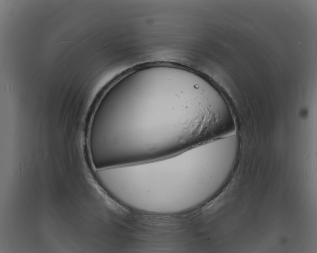 X0000093731024200710160809