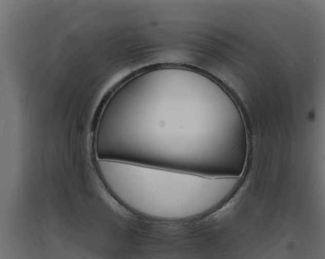 X0000093731029200710160809