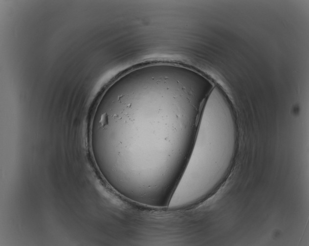 X0000093731030200710160809