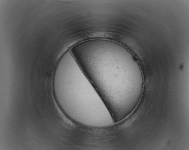 X0000093731033200710160809
