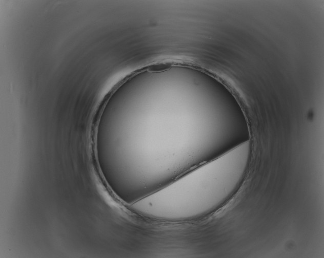 X0000093731038200710160809