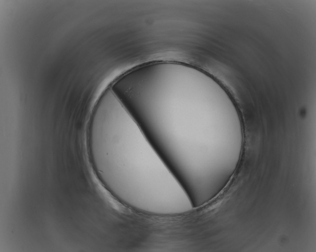 X0000093731040200710160809