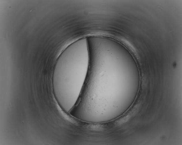 X0000093731041200710160809