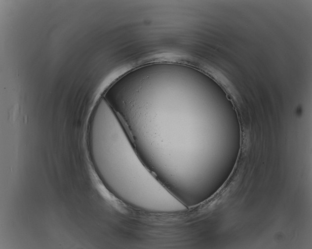 X0000093731042200710160809