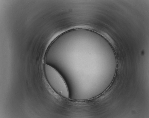 X0000093731044200710160809