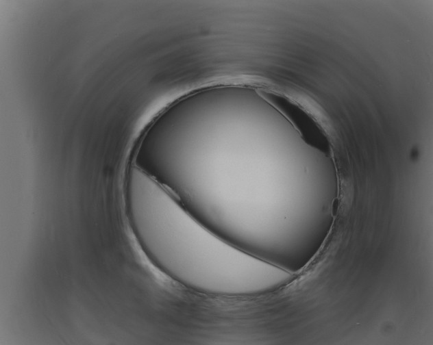 X0000093731046200710160809