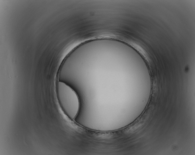 X0000093731047200710160809