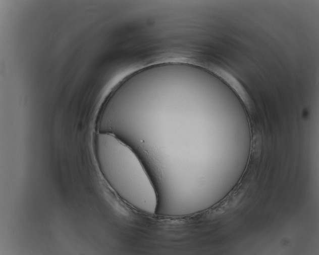 X0000093731051200710160809