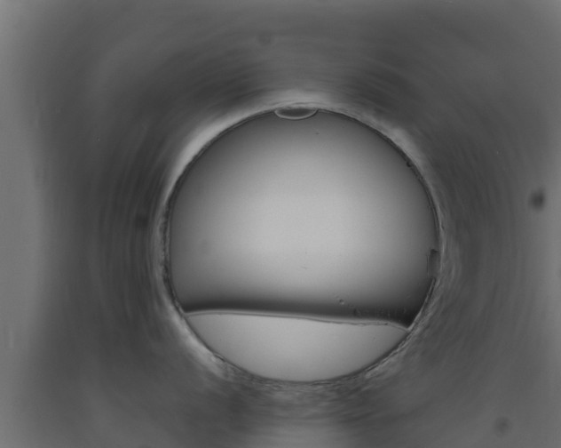X0000093731056200710160809