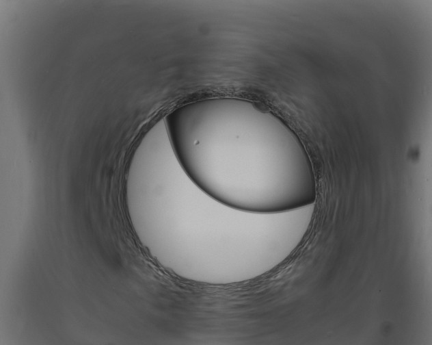 X0000093731057200710160808