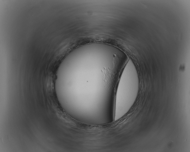 X0000093731058200710160808