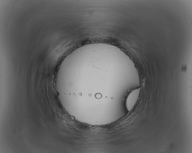 X0000093731059200710160808