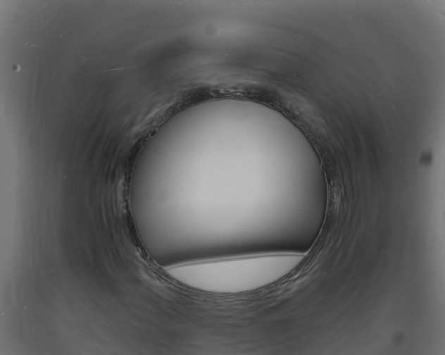 X0000093731060200710160808