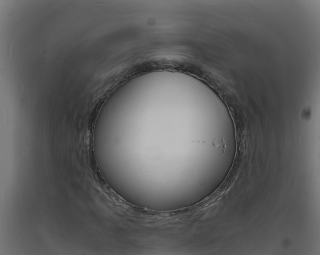 X0000093731061200710160808
