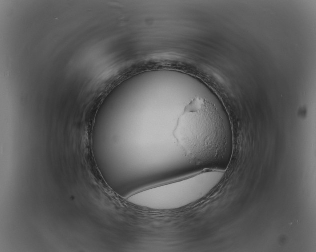 X0000093731062200710160808