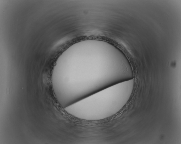 X0000093731063200710160808