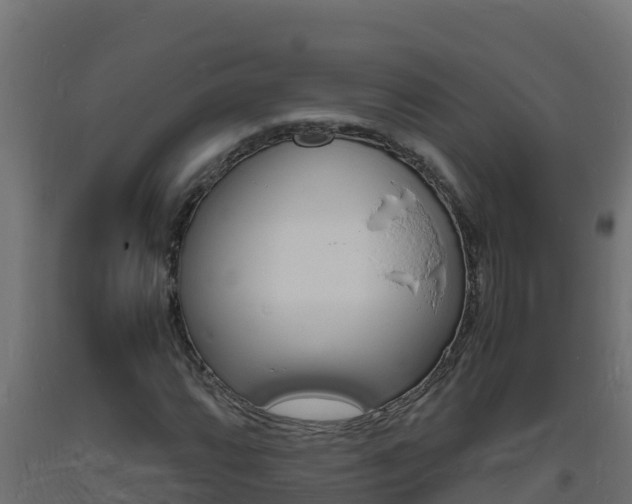 X0000093731064200710160808
