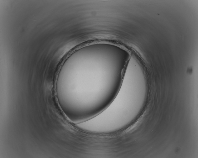 X0000093731065200710160808