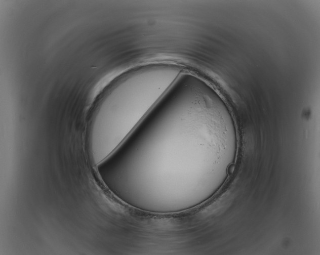 X0000093731066200710160808