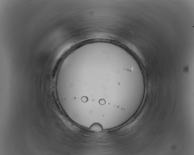 X0000093731067200710160808