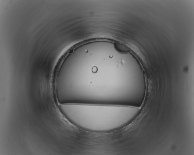 X0000093731068200710160808