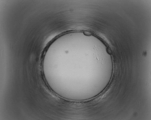 X0000093731071200710160808