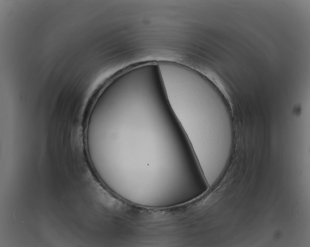 X0000093731072200710160808