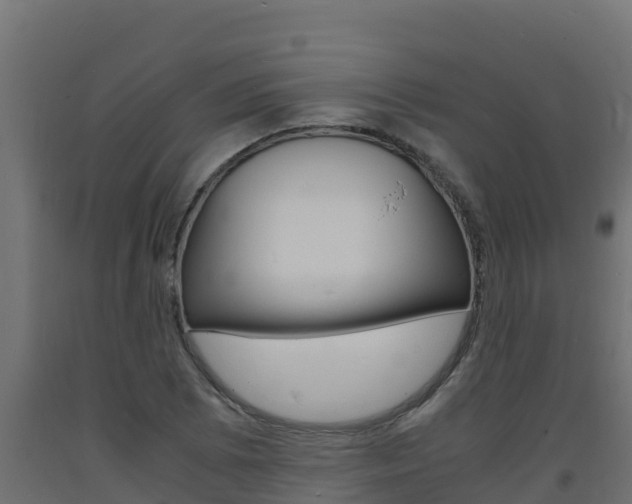 X0000093731073200710160808