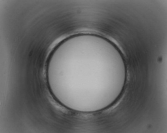 X0000093731074200710160808
