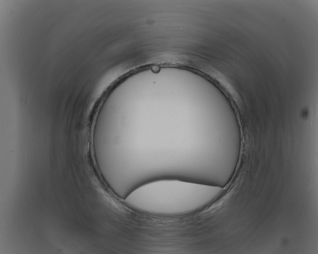 X0000093731075200710160808