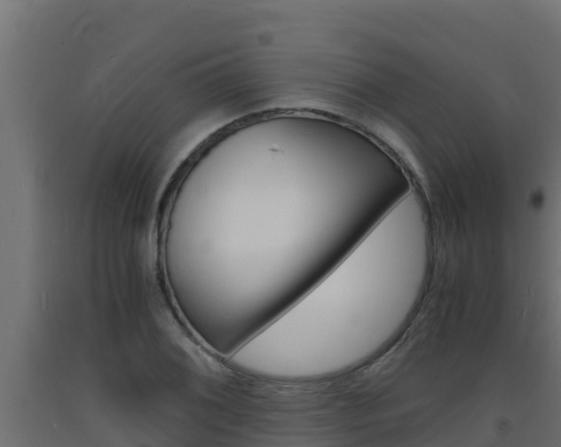 X0000093731076200710160808