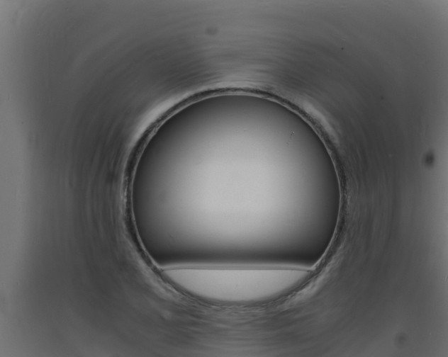 X0000093731077200710160808