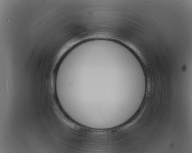 X0000093731078200710160808