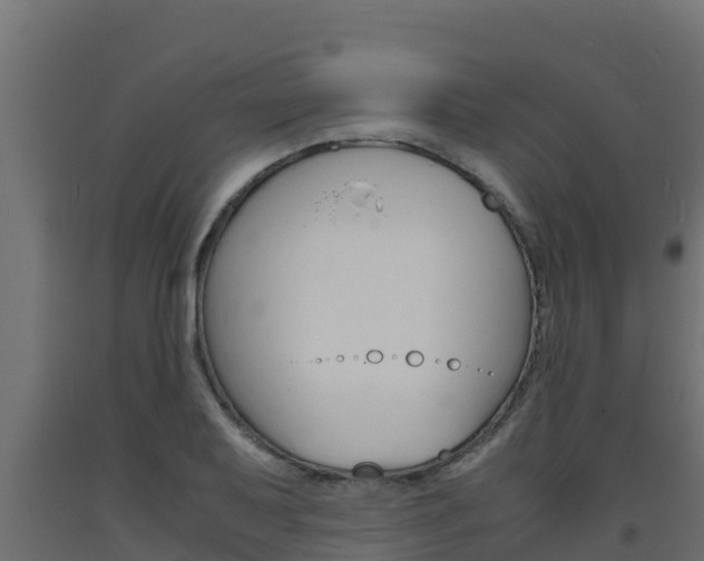 X0000093731079200710160808