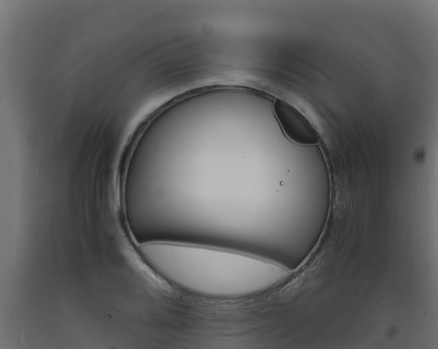 X0000093731080200710160808