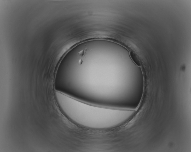 X0000093731081200710160808