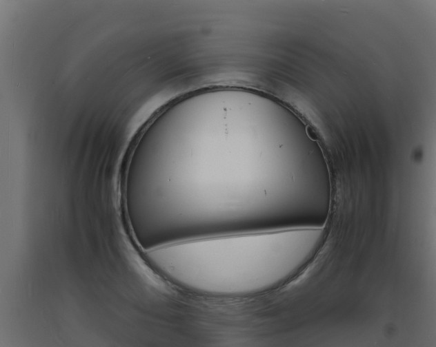 X0000093731082200710160808