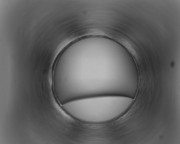 X0000093731084200710160808